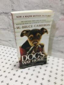 现货英文原版A Dog's Way Home 一条狗的回家路电影原著畅销小说