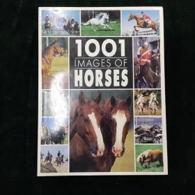 （英）1001 IMAGES OF HORSES