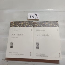 大卫科波菲尔 上下（全2册）