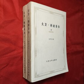 大卫·科波菲尔（共两册）