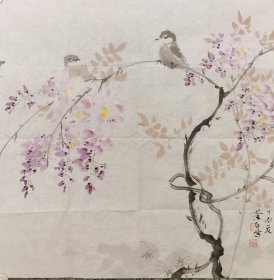 蔡白紫藤