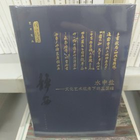 水中盐：文化艺术视角下的王国维/何以传世艺术文丛