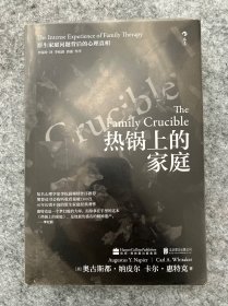 热锅上的家庭：家庭问题背后的心理真相
