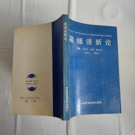 藏缅语新论