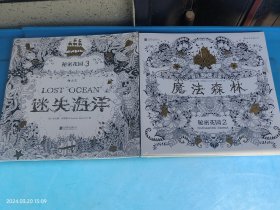 秘密花园：迷失海洋、魔法森林 2本合售 未拆封