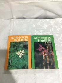 实用中草药彩色图集（2）