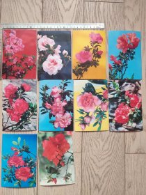 明信片~~花卉~丹东邮电局~一套10张