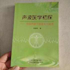 声波医学初探 : 低频声波干扰理论与技术