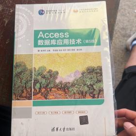 Access数据库应用技术（第5版）