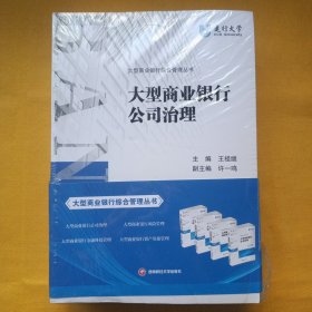 大型商业银行综合管理丛书 ：大型商业银行资产负债管理、 大型商业银行金融科技管理 、大型商业银行风险管理、 大型商业银行公司治理(全4册全新未拆封)