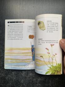 我爱大自然.小小百科全书：植物卷+鸟类卷+高山卷+岩石卷（全4册合售）