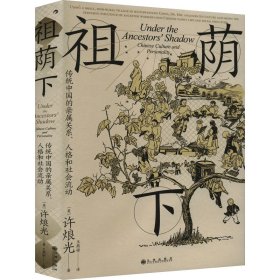 智慧宫丛书024·祖荫下：传统中国的亲属关系、人格和社会流动