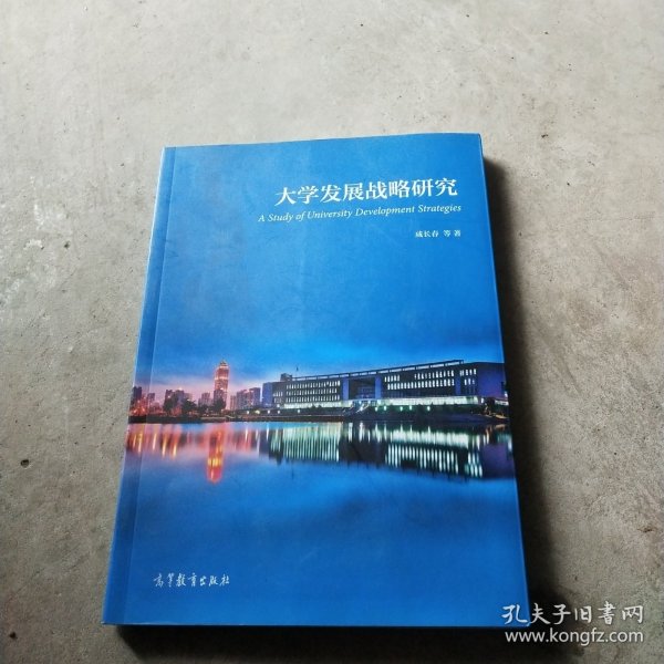 大学发展战略研究