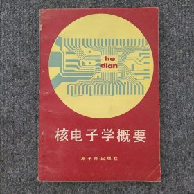 核电子学概要