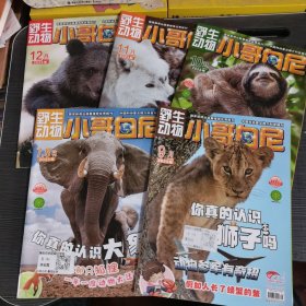 野生动物小哥白尼杂志2023年7 8合刊 9月10月 11月 12月 （5册合集）小哥白尼杂志周刊2023年五册合集