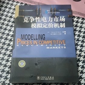 竞争性电力市场模拟定价机制