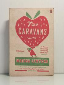 玛琳娜·柳薇卡 《英国农民工小像》   Two Caravans  by Marina Lewycka (英国文学)