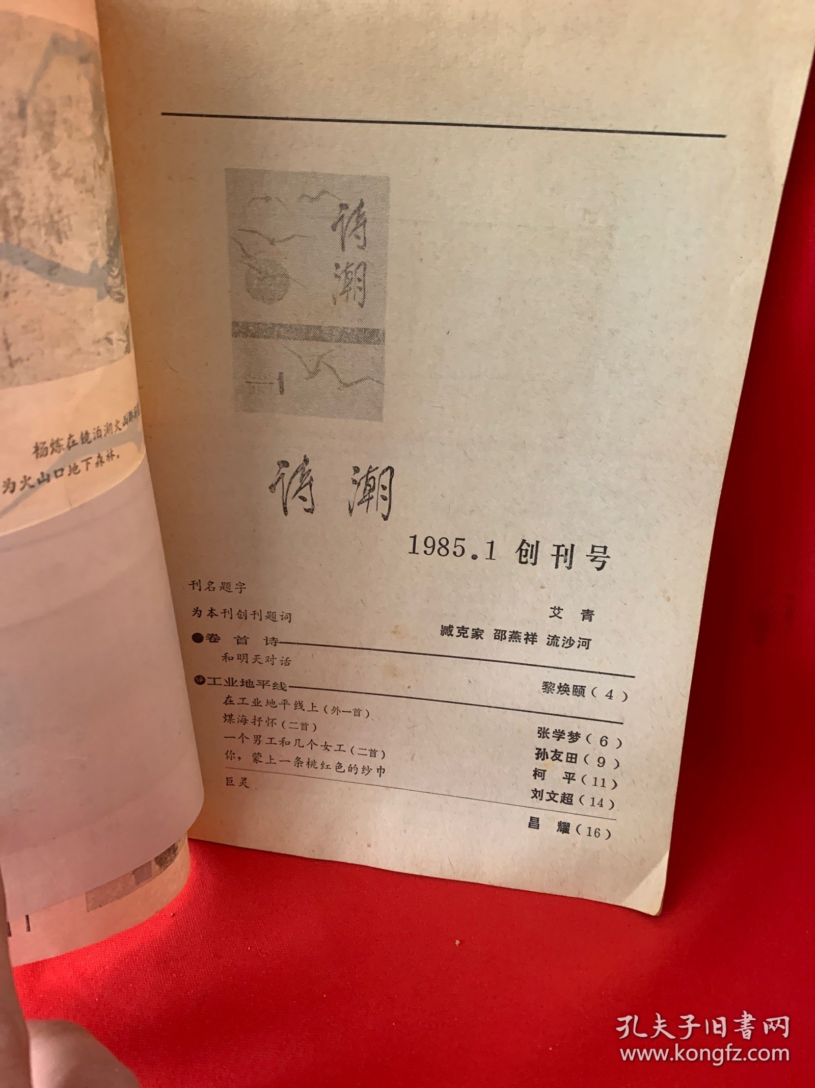 诗潮 创刊号1985