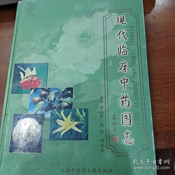 现代临床中药图志