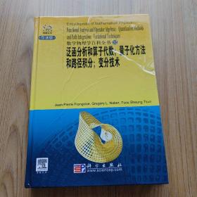 泛函分析和算子代数;量子化方法和路径积分;变分技术