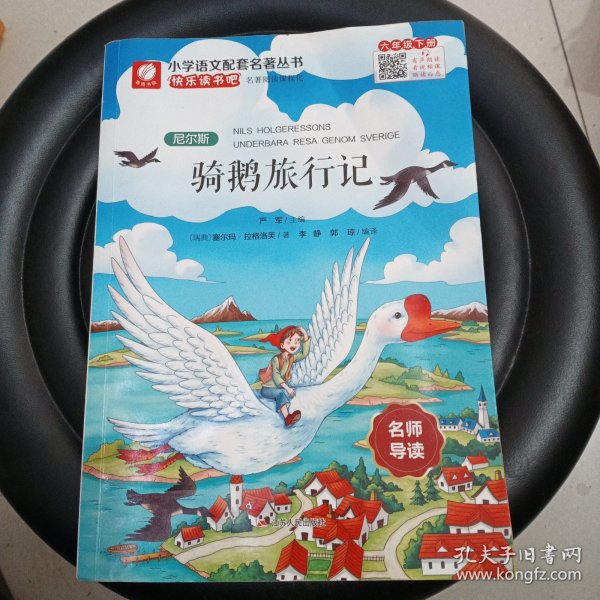 尼尔斯骑鹅旅行记（名师导读全解版无障碍阅读）/统编语文教材必读名著