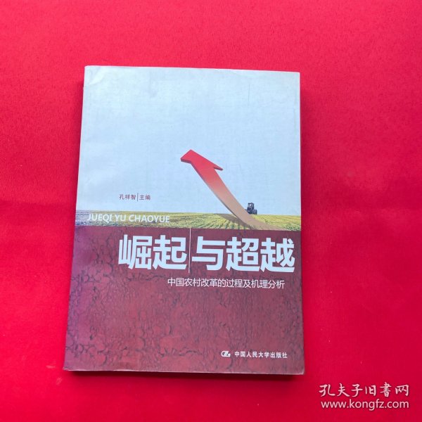 崛起与超越：中国农村改革的过程及机理分析