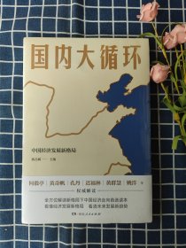 国内大循环(何毅亭、黄奇帆、孔丹、迟福林、姚洋、黄群慧等撰文)