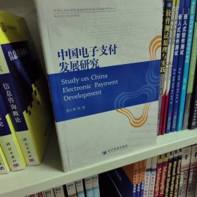 中国电子支付发展研究