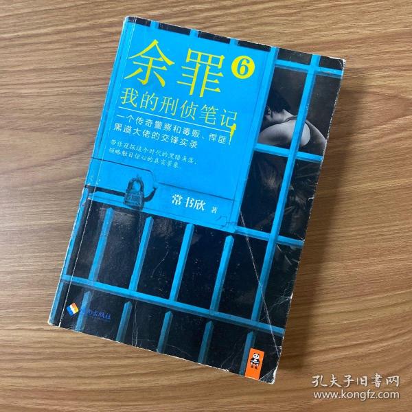 余罪6：我的刑侦笔记