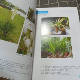 2000种植物原色图鉴 1-6缺7