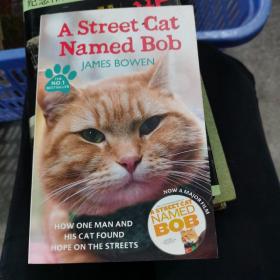A Street Cat Named Bob：How one man and his cat found hope on the streets