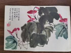 老画片1955年。千牛喇叭花