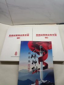 圣商运营商业务手册 上下 + 六脉神剑 （3本合售）