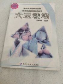 大豆栽培