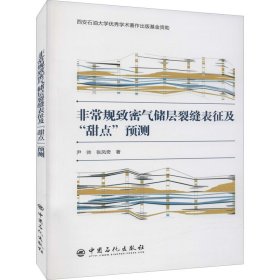 非常规致密气储层裂缝表征及甜点预测