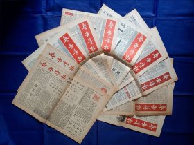 【包括一份创刊号（2月20日的）】《艺舟导报》（1993年2月20日—11月20日）共10份合售
