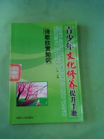 青少年文化修养提升手册……。