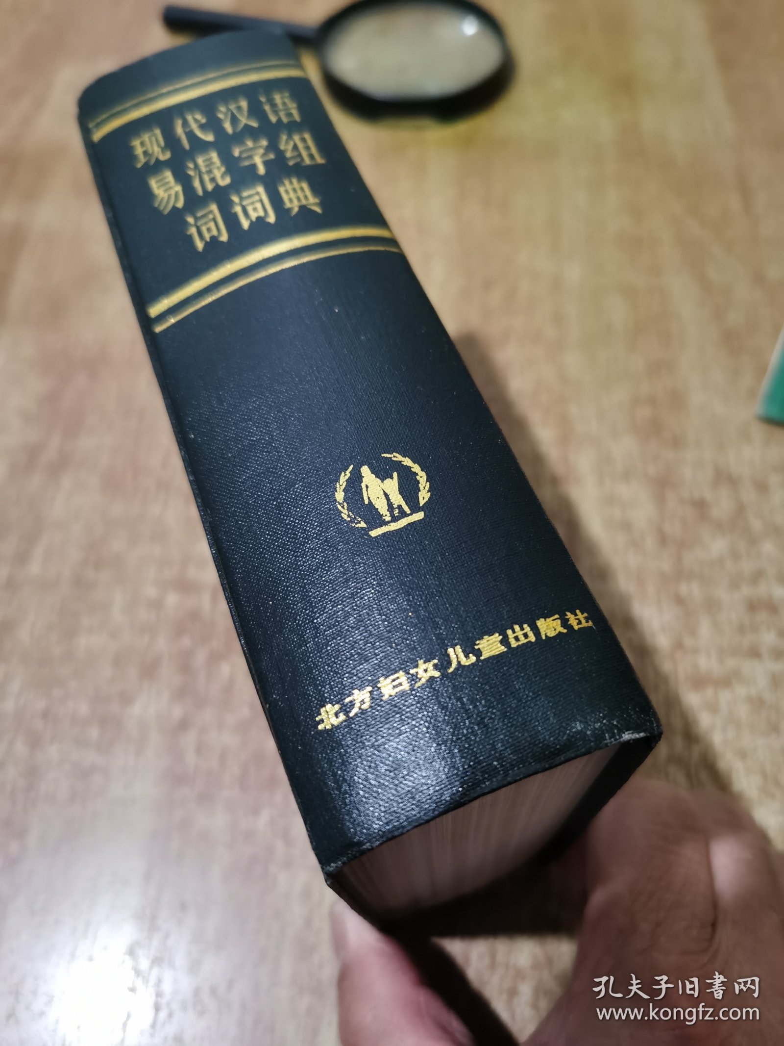 现代汉语易混字组词词典