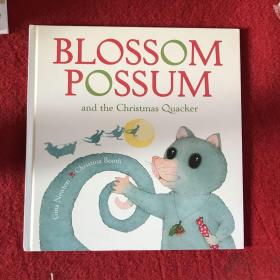 Blossom possum and christmas quacker