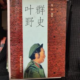叶群野史