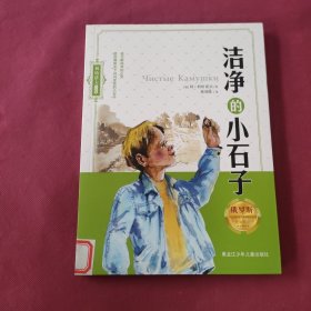 洁净的小石子/利哈诺夫作品集