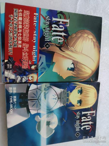 Fate / stay night 1.5 两册合售