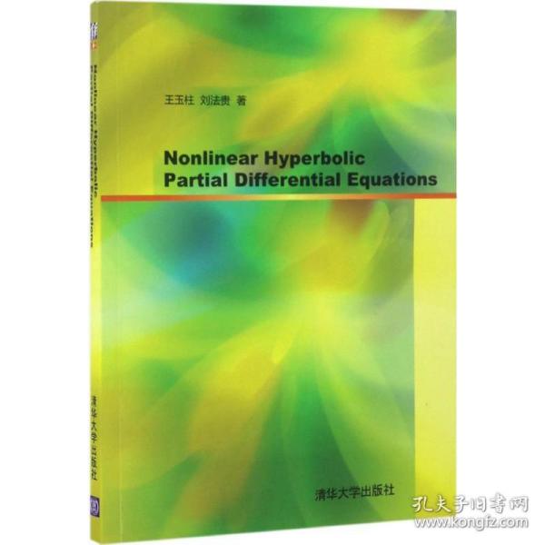 Nonlinear hyperbolic partial differential equations