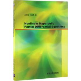 Nonlinear hyperbolic partial differential equations