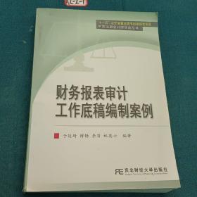 财务报表审计工作底稿编制案例