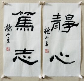 杨小立 ，中国书法家协会会员，河南省南阳市书协副秘书长，宛城区书法家协会副主席兼秘书长。男，1972年出生。 入展获奖： “青川木牍杯”首届全国隶书书法大赛中入展(四川省书协)； 2022“中国书法·年展”全国篆书、隶书、篆刻作品展前41名，获得面试考核(中书协)… 《静心、笃志 》，小品一幅。保真，来自作者，17x34cm x 2，未装裱，附同批作品合影。d7554 。