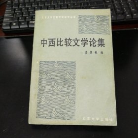 中西比较文学论集（北京大学比较文学研究丛书）