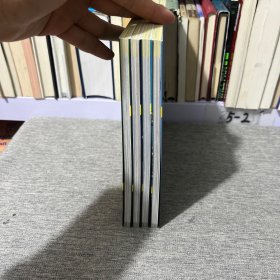 世界前沿科技探索丛书【青少版】纳米技术 能源技术 浩瀚苍穹 可持续农业4本合售
