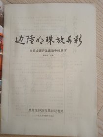 边陲明珠放异彩介绍全面开发建设中的黑河