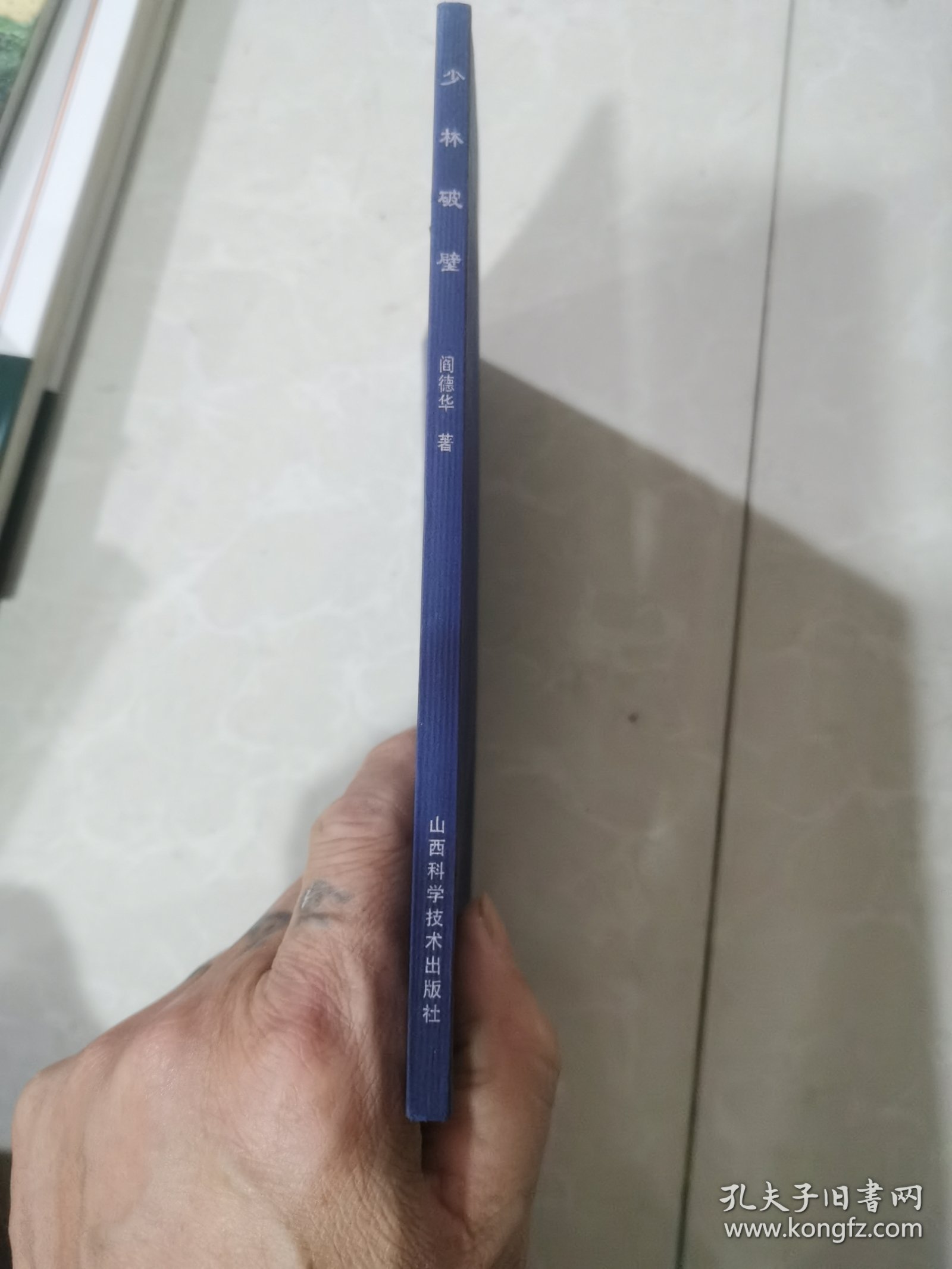 古拳谱系列武术丛书：少林破壁